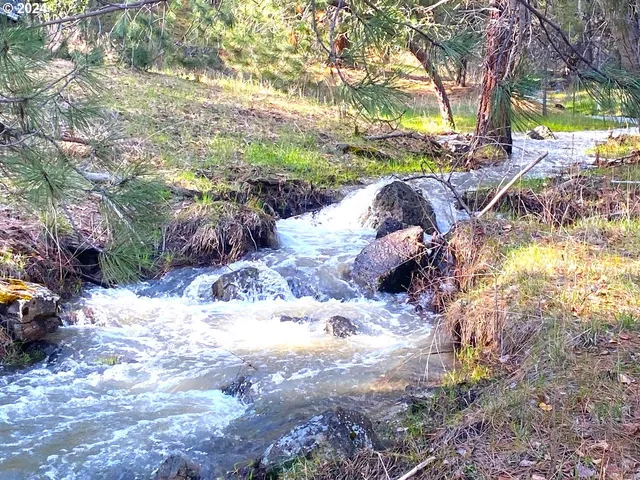 $1,625,000 | 53578 Big Sky Lane, Prairie City, OR 97869