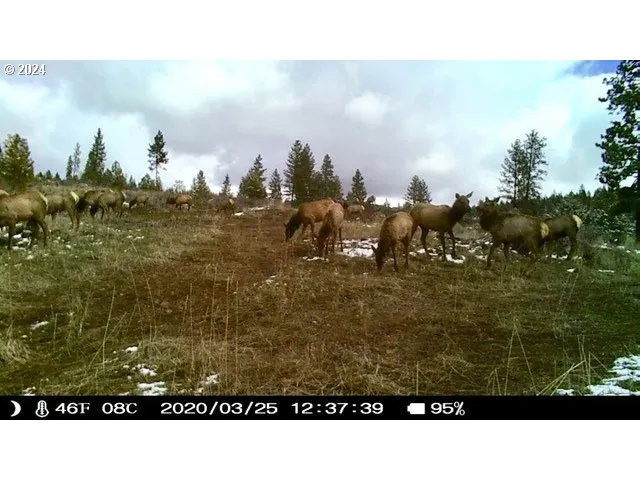 $1,625,000 | 53578 Big Sky Lane, Prairie City, OR 97869