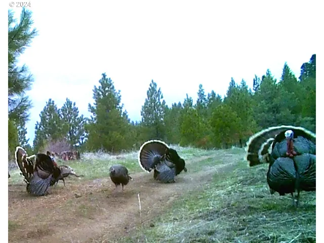 $1,625,000 | 53578 Big Sky Lane, Prairie City, OR 97869