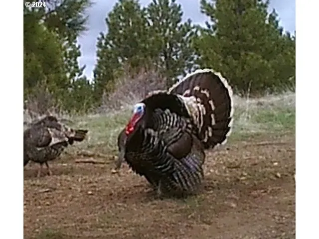 $1,625,000 | 53578 Big Sky Lane, Prairie City, OR 97869