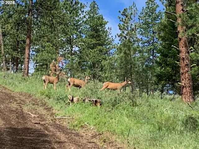 $1,625,000 | 53578 Big Sky Lane, Prairie City, OR 97869
