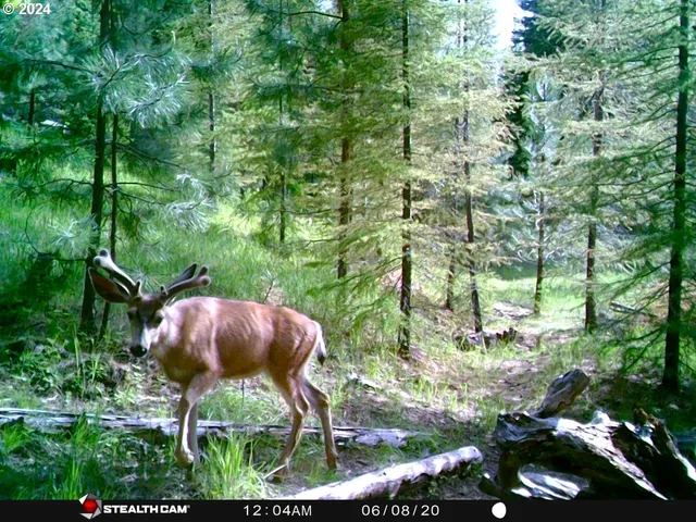 $1,625,000 | 53578 Big Sky Lane, Prairie City, OR 97869