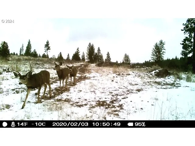 $1,625,000 | 53578 Big Sky Lane, Prairie City, OR 97869