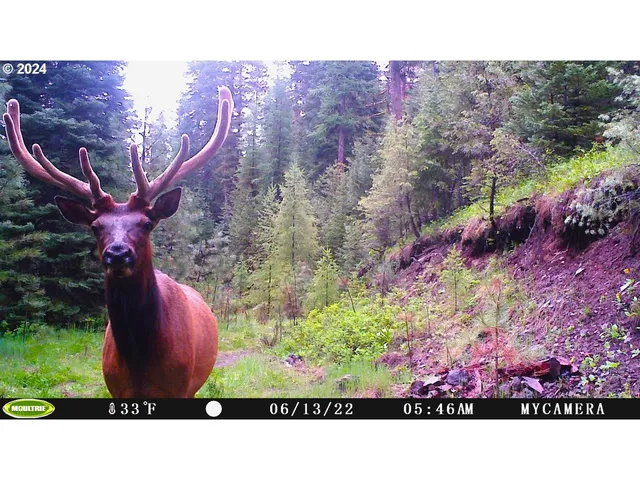 $1,625,000 | 53578 Big Sky Lane, Prairie City, OR 97869