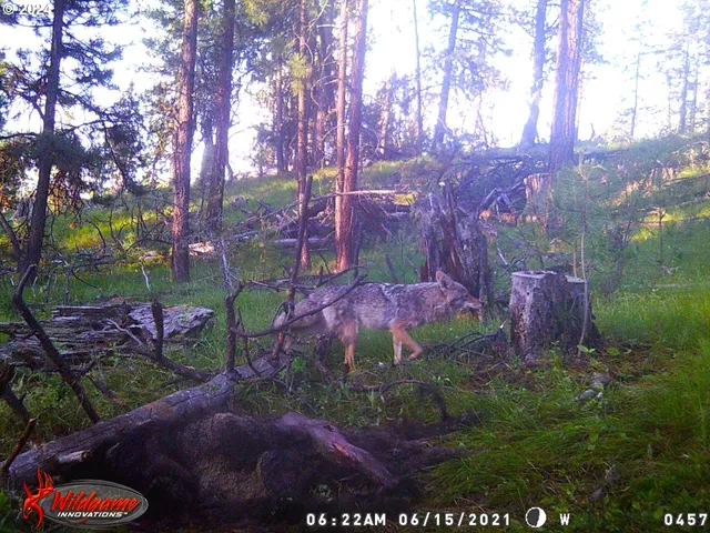 $1,625,000 | 53578 Big Sky Lane, Prairie City, OR 97869