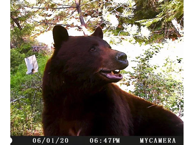 $1,625,000 | 53578 Big Sky Lane, Prairie City, OR 97869