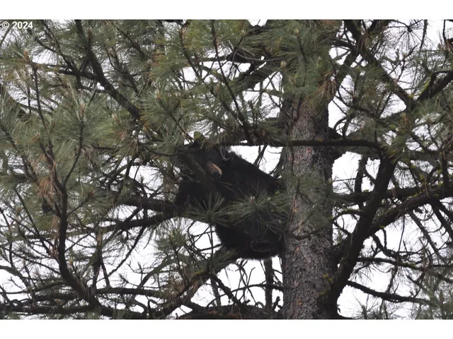 $1,625,000 | 53578 Big Sky Lane, Prairie City, OR 97869