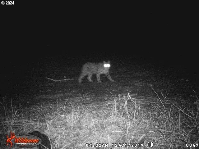 $1,625,000 | 53578 Big Sky Lane, Prairie City, OR 97869