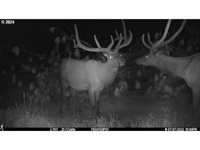 $1,625,000 | 53578 Big Sky Lane, Prairie City, OR 97869