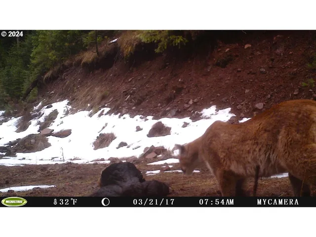 $1,625,000 | 53578 Big Sky Lane, Prairie City, OR 97869