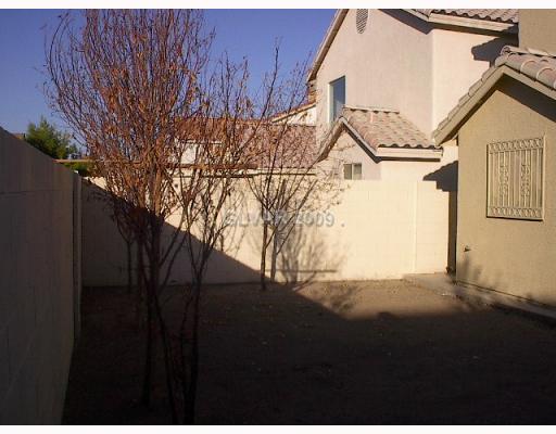 4184 Riker Avenue Las Vegas, NV 89115 - Photo 11 of 13 Yard/Garden.
