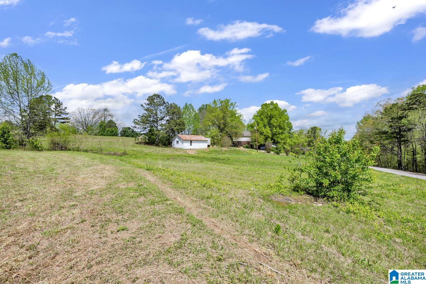 6720 Highway 27 Springville Al Springville, AL 35146 - Photo 9 of 33