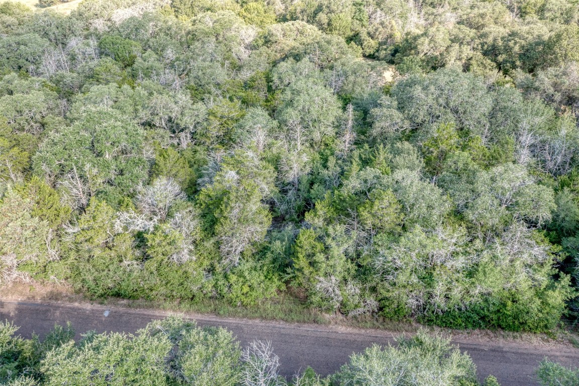 Tbd Wied Road La Grange, TX 78945 - Photo 8 of 25