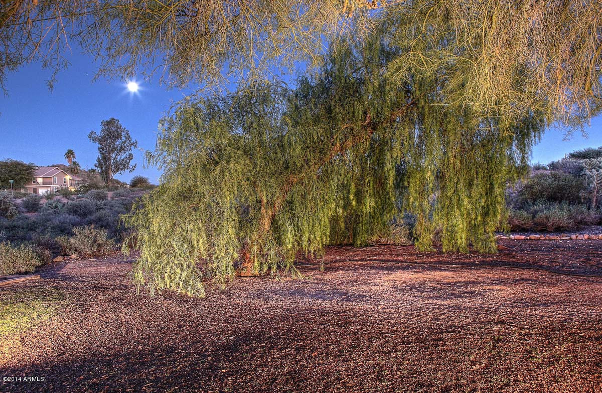 5601 South Jacaranda Road Gold Canyon, AZ 85118 - Photo 23 of 34 Night-Backyard