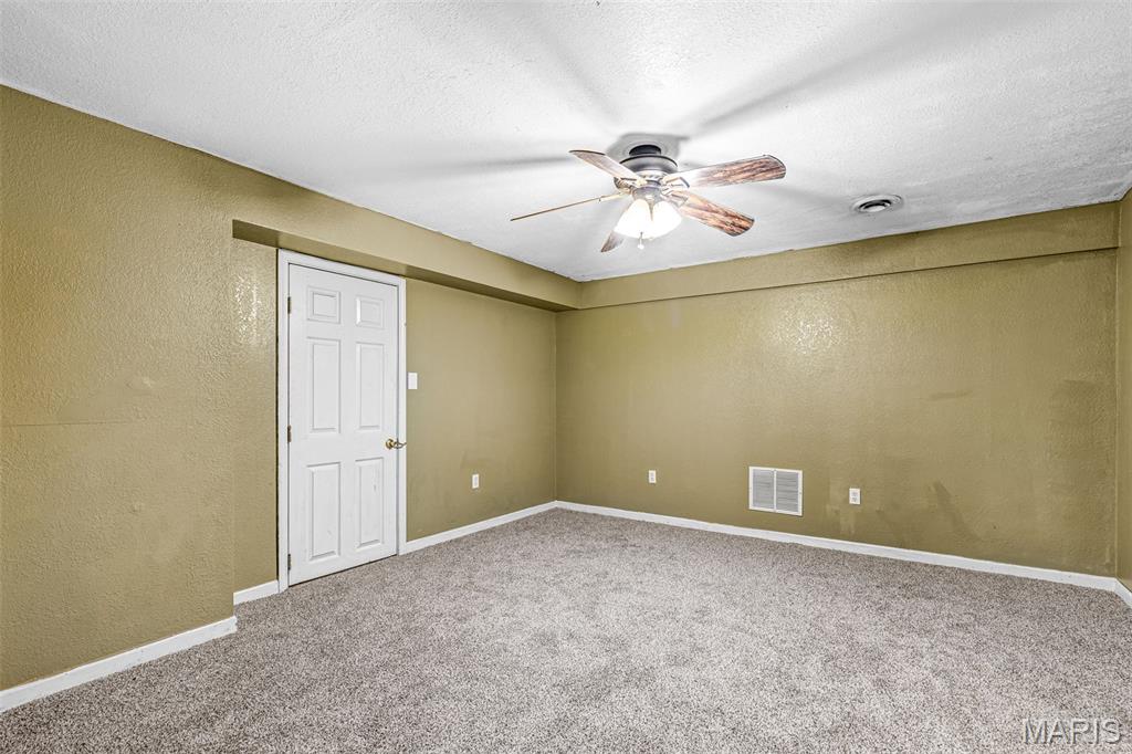 3183 Watson Road Festus, MO 63028 - Photo 39 of 49