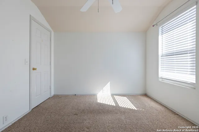 a view of backyard with tree