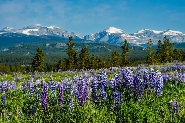 $1,850,000 | 16 West Us Highway, Buffalo, WY 82834