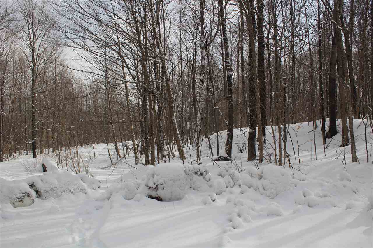 977 Newton Road Lowell, VT 05847 - Photo 5 of 5 Gallery Image 5