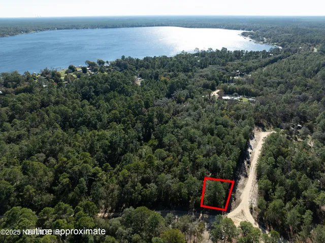 a view of a field with flowers