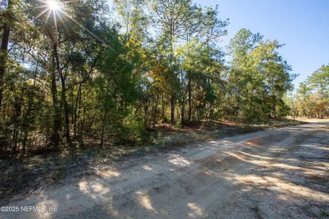 a view of a swimming pool with a yard
