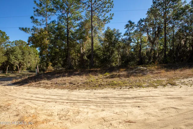 a view of a yard with plants and trees