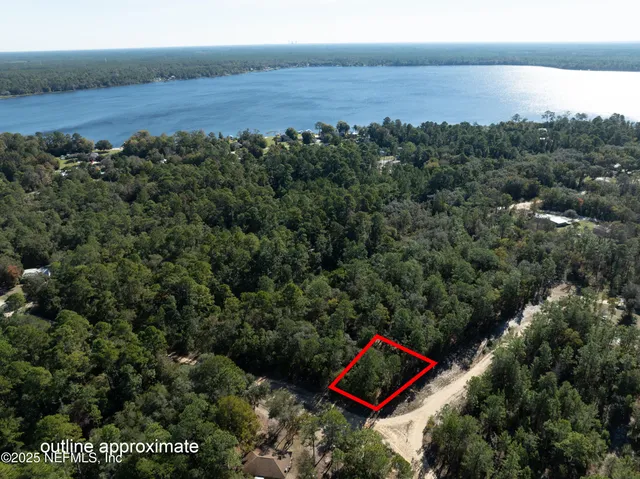 an aerial view of a forest with a yard and mountain view
