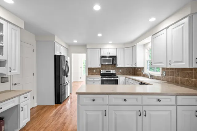 a view of a yard with plants and large trees