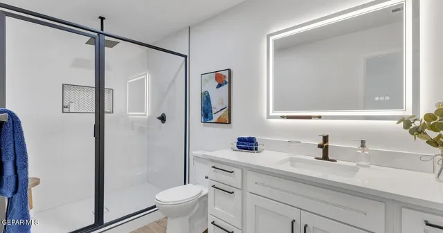 a bathroom with a sink a mirror a toilet and shower