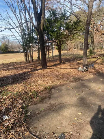 a view of dirt yard with a tree