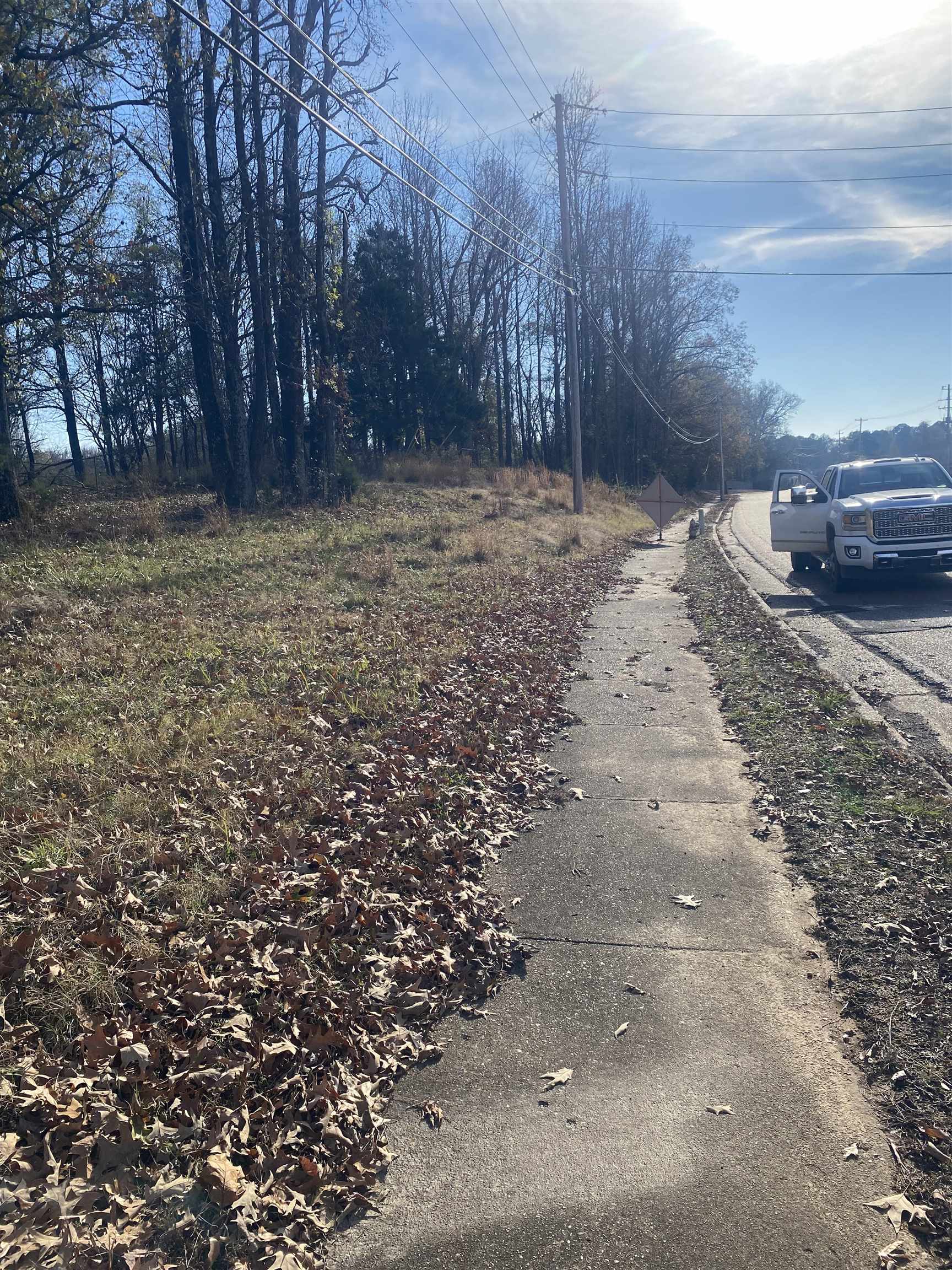 New Brownsville Road Memphis, TN 38135 - Photo 2 of 3 a view of a yard with trees