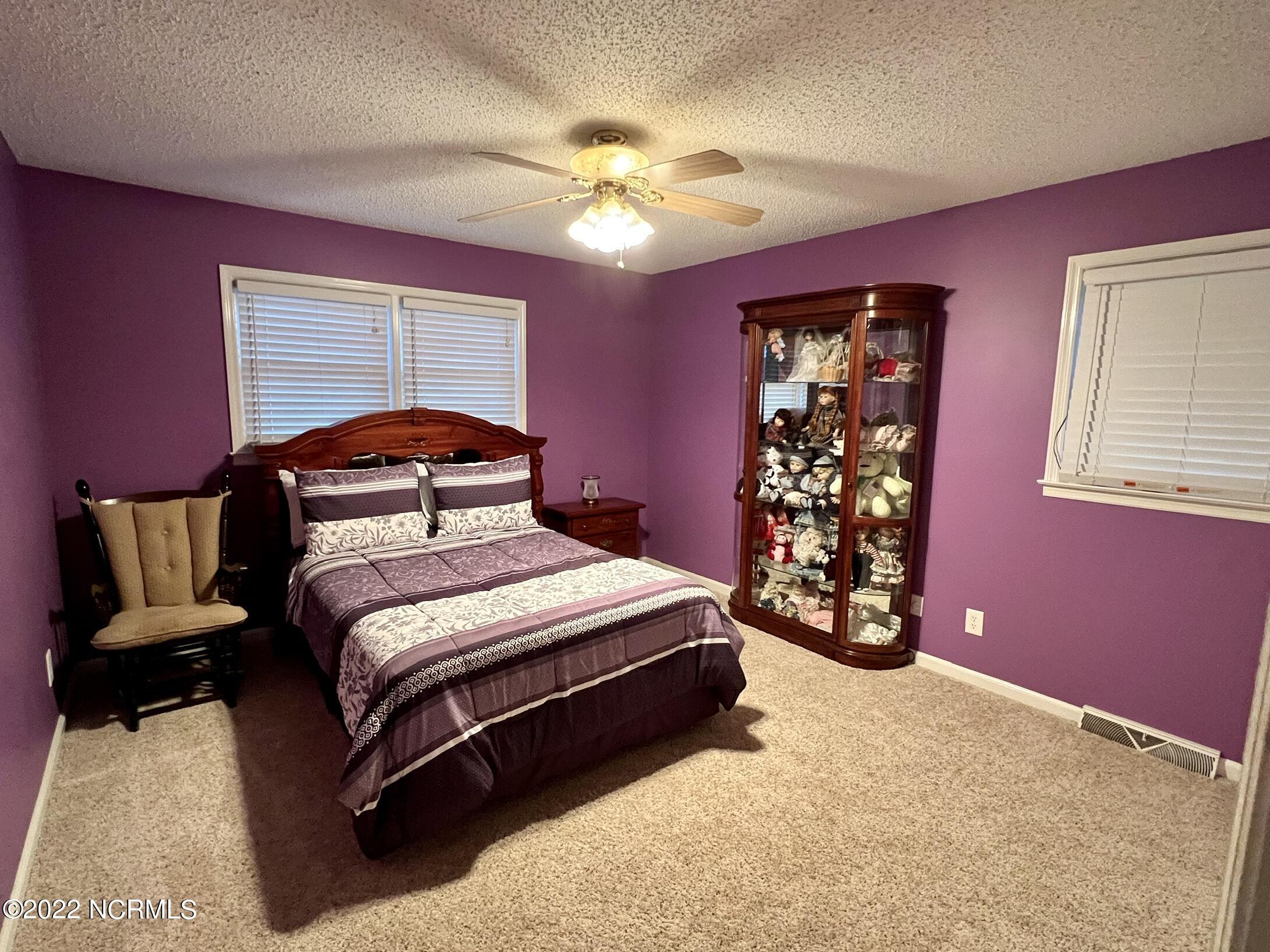 455 Genoa Road Dudley, NC 28333 - Photo 25 of 43 IMG-3674