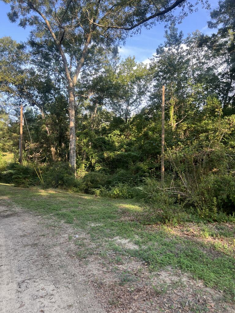 337 Sones Chapel Road Carriere, MS 39426 - Photo 27 of 35 Gallery Image 27