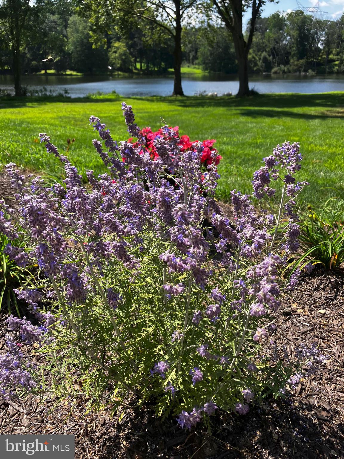 126 Heyburn Road Chadds Ford, PA 19317 - Photo 12 of 111