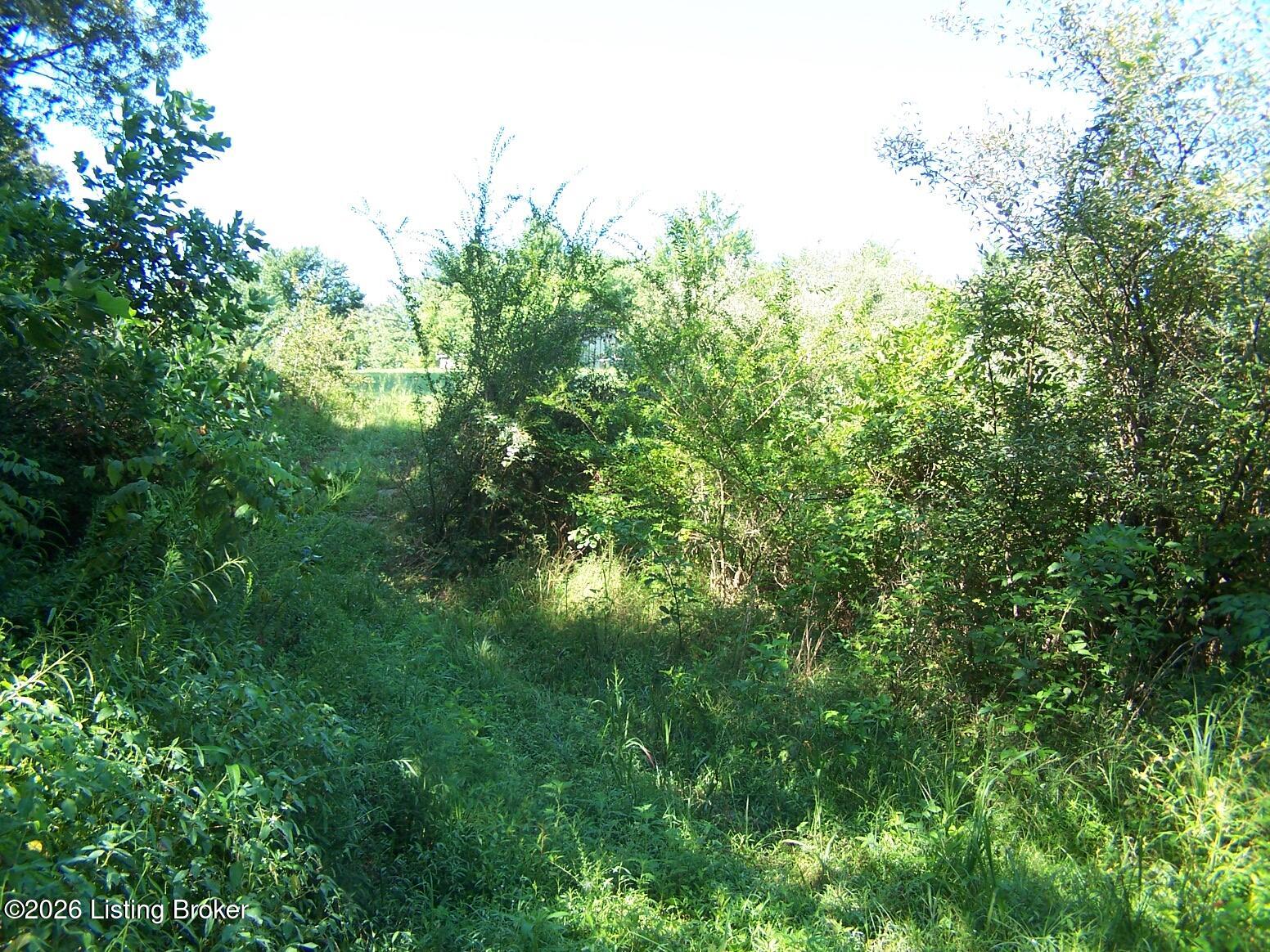 0 Anna Sandhill Road Bowling Green, KY 42101 - Photo 4 of 13 Some of the cleared land leading to the top area that is fully cleared for development