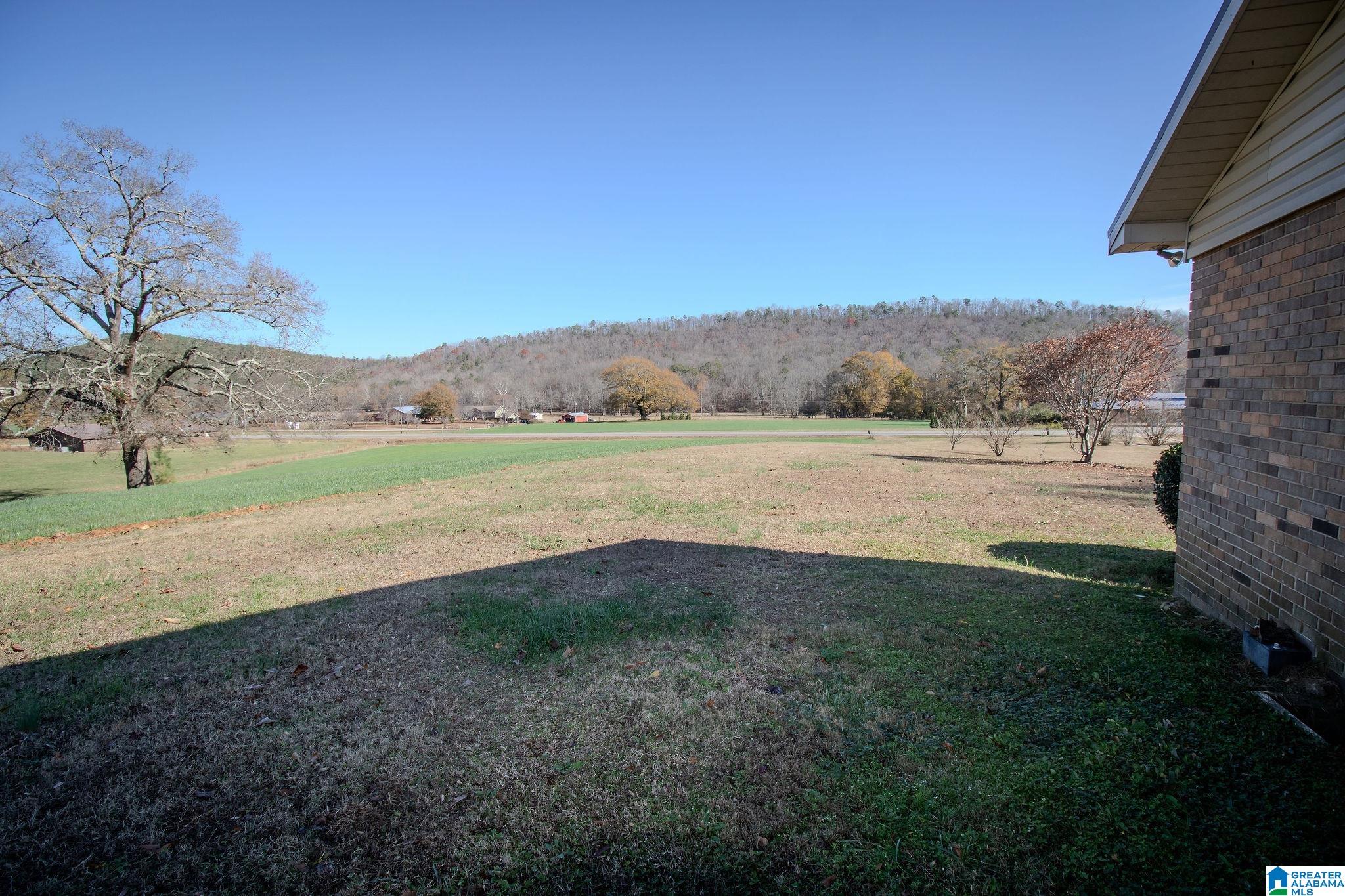 8983 Highway 9 Anniston, AL 36207 - Photo 25 of 44