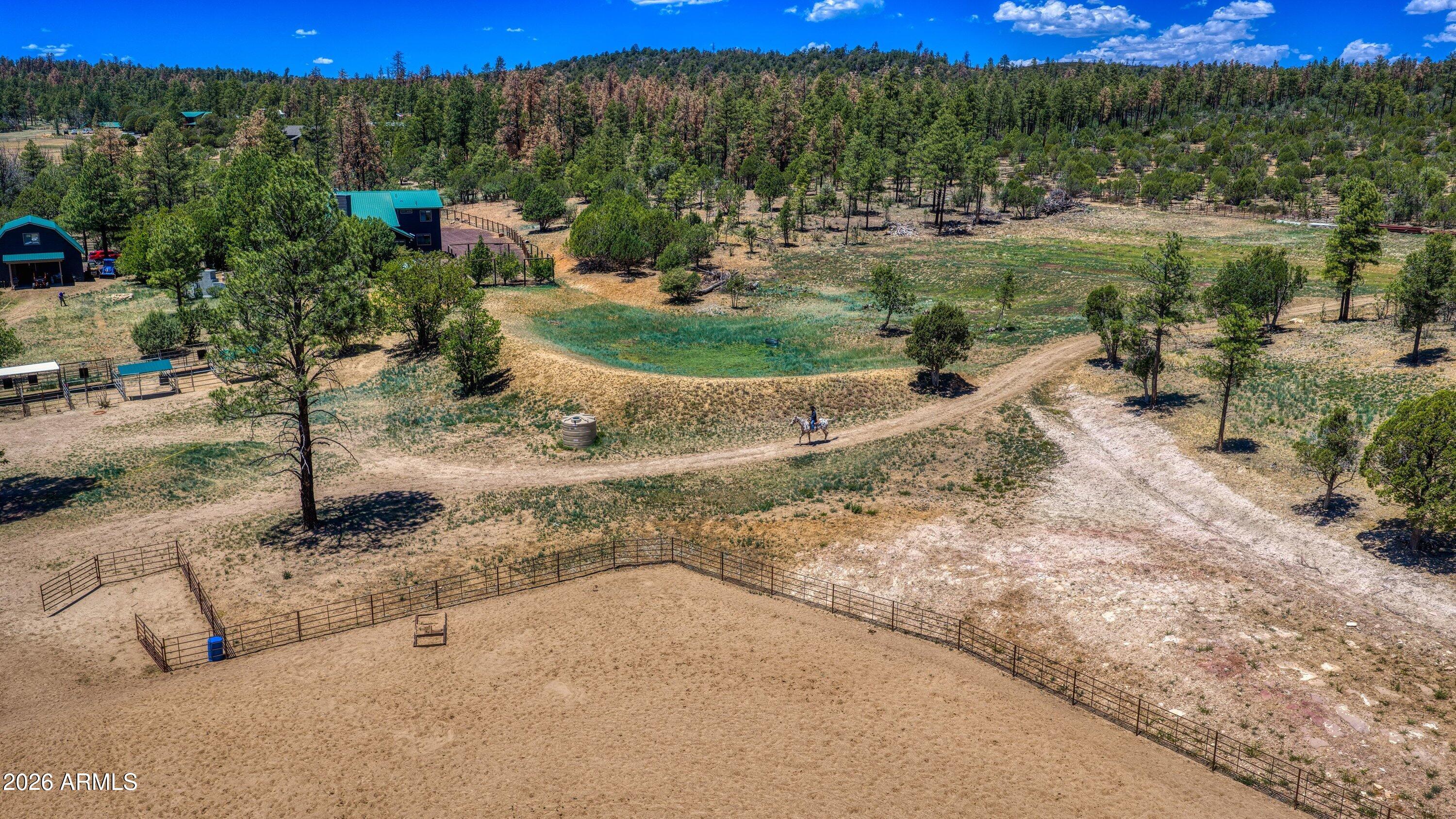 5182 Pinedale Wash Road Pinedale, AZ 85934 - Photo 42 of 54 a view of a dry yard with trees
