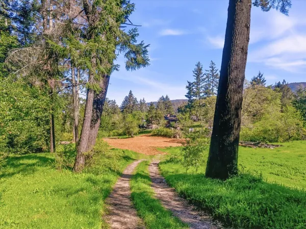 a view of a yard with a mountain