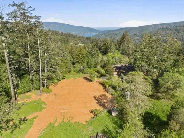 a view of a forest with mountains in the background