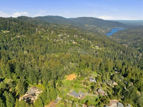 a view of a lot of trees and mountains
