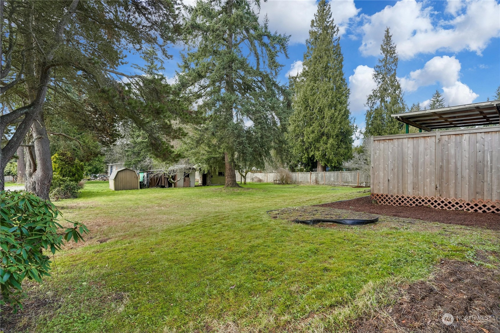 17316 North Road Bothell, WA 98012 - Photo 23 of 32 a view of a park with large trees