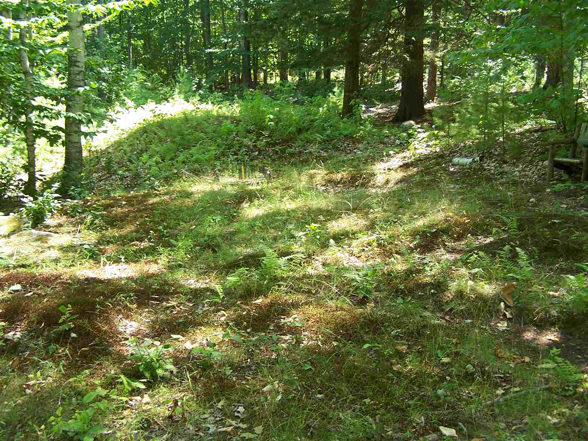 938 Rattlesnake Island Alton, NH 03810 - Photo 25 of 37 Gallery Image 25