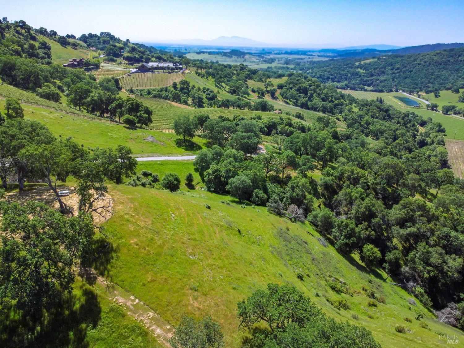 0 Quail Ridge Drive Napa, CA 94558 - Photo 11 of 30 a view of a lush green forest with a house