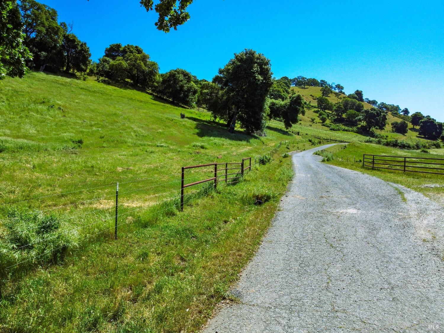 0 Quail Ridge Drive Napa, CA 94558 - Photo 18 of 30 a view of a garden with a houses