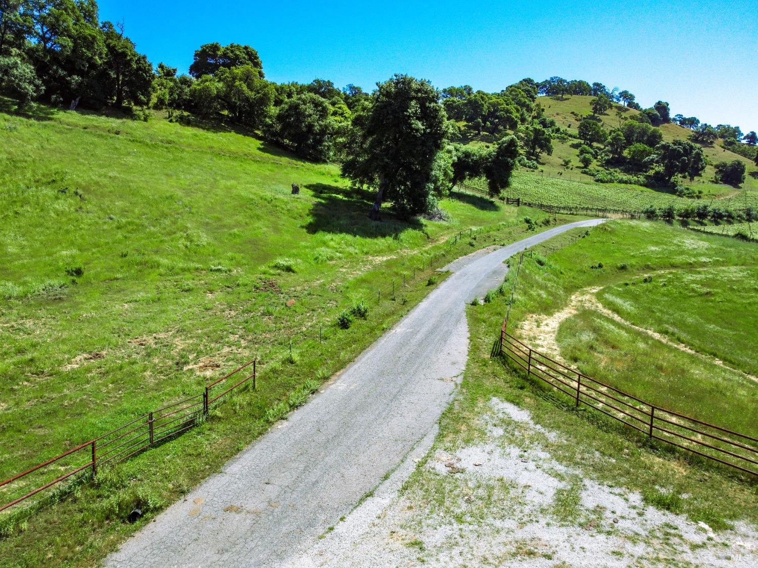 0 Quail Ridge Drive Napa, CA 94558 - Photo 22 of 30 a view of a pathway both side of grassy field with shrub