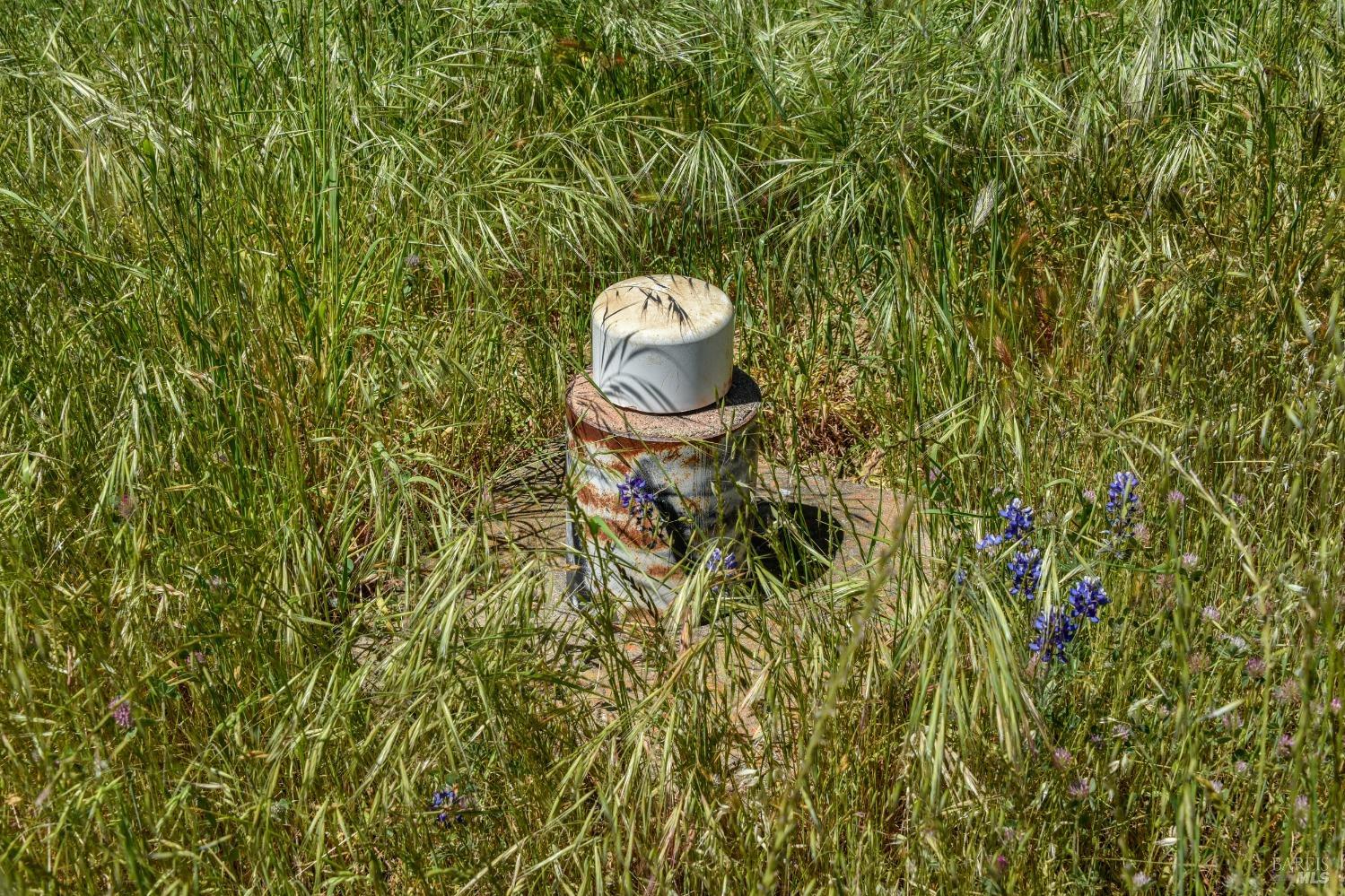 0 Quail Ridge Drive Napa, CA 94558 - Photo 23 of 30 a backyard of a house with table and chairs