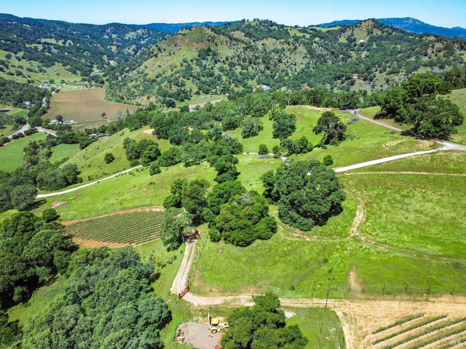 0 Quail Ridge Drive Napa, CA 94558 - Photo 26 of 30 a view of a big yard with potted plants and large trees
