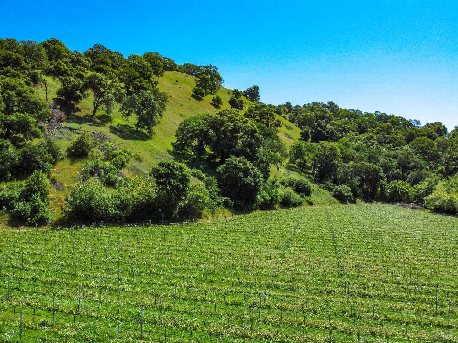 0 Quail Ridge Drive Napa, CA 94558 - Photo 27 of 30 a view of a garden with a building in the background