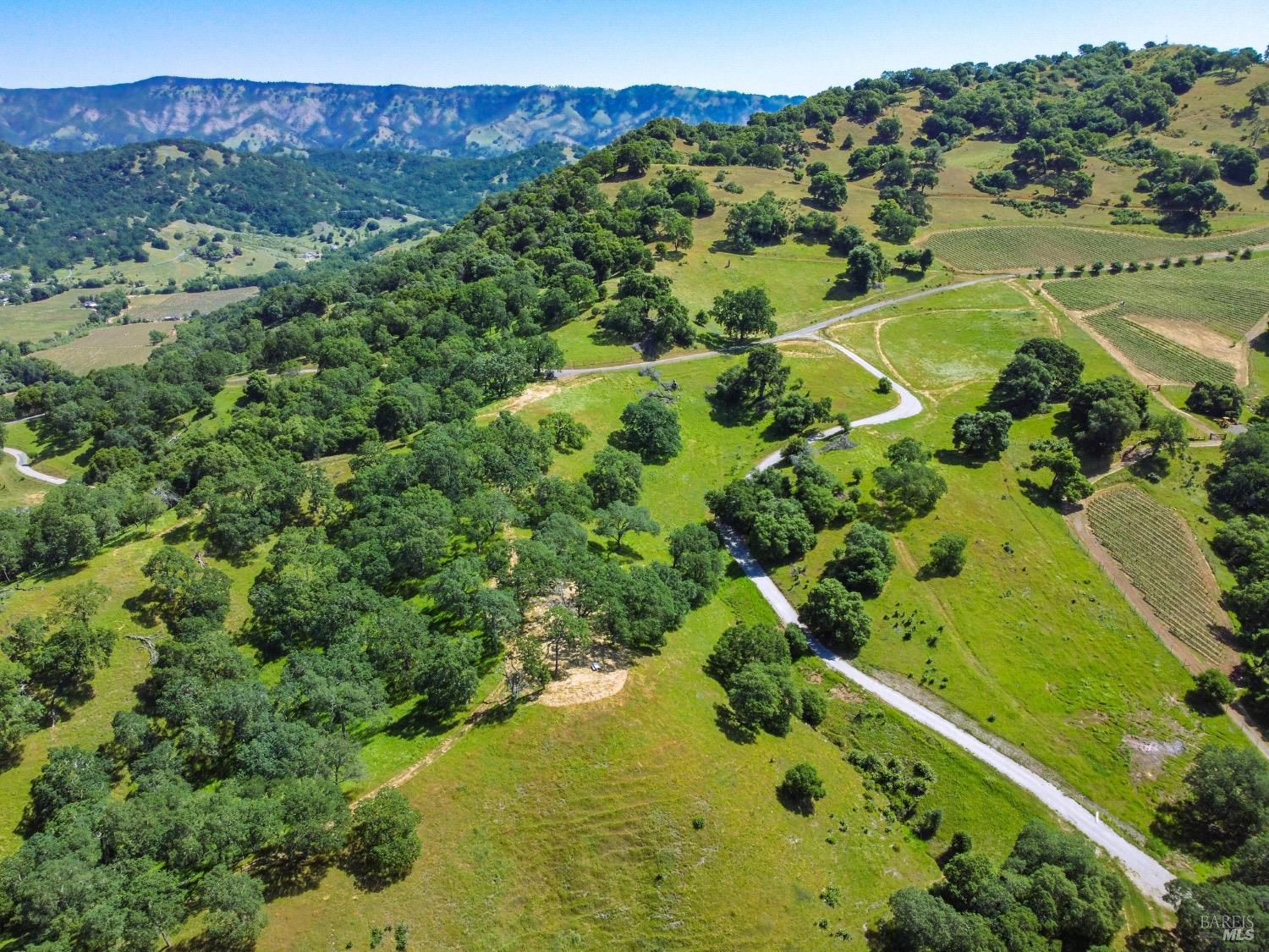 0 Quail Ridge Drive Napa, CA 94558 - Photo 9 of 30 a view of a lush green forest with trees and houses