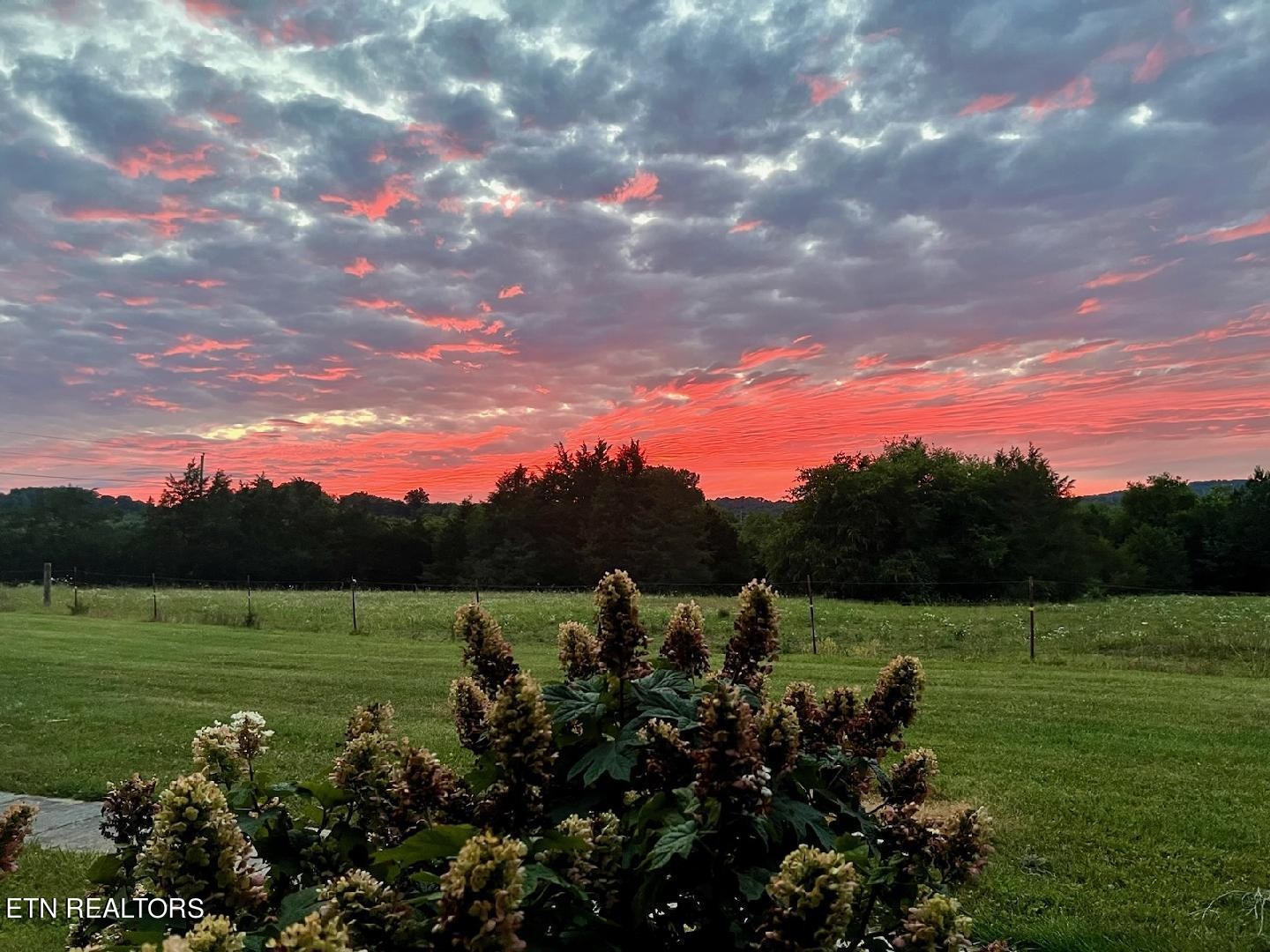 1443 West Dumplin Valley Road Dandridge, TN 37725 - Photo 44 of 51 a view of a lake with a yard
