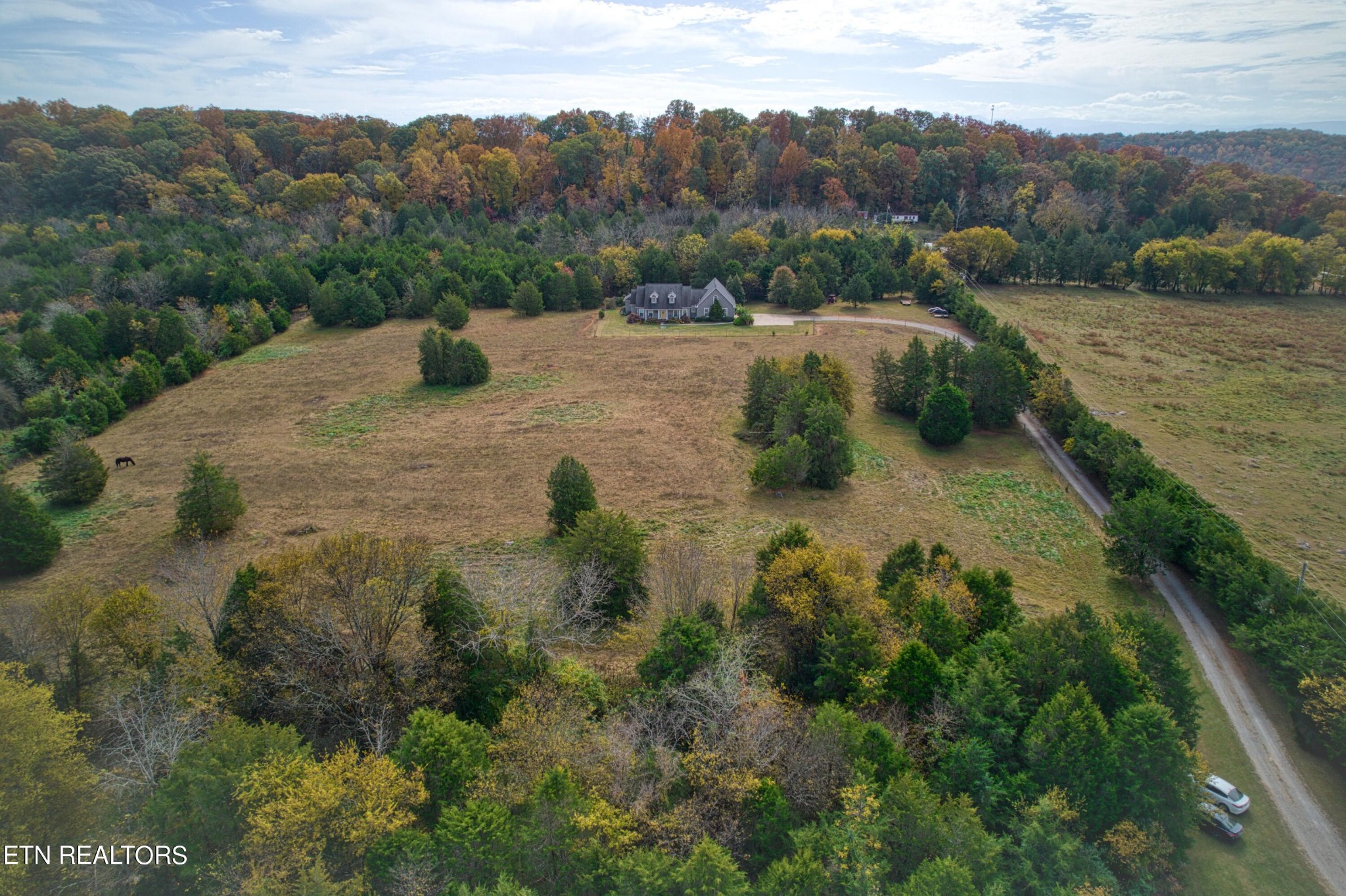 1443 West Dumplin Valley Road Dandridge, TN 37725 - Photo 46 of 51 a view of a dry yard with green space